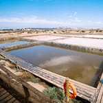 salinière